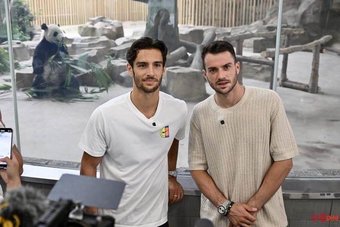 许多足球俱 许多足球俱