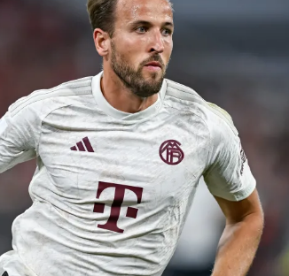 着深刻洞见 着深刻洞见