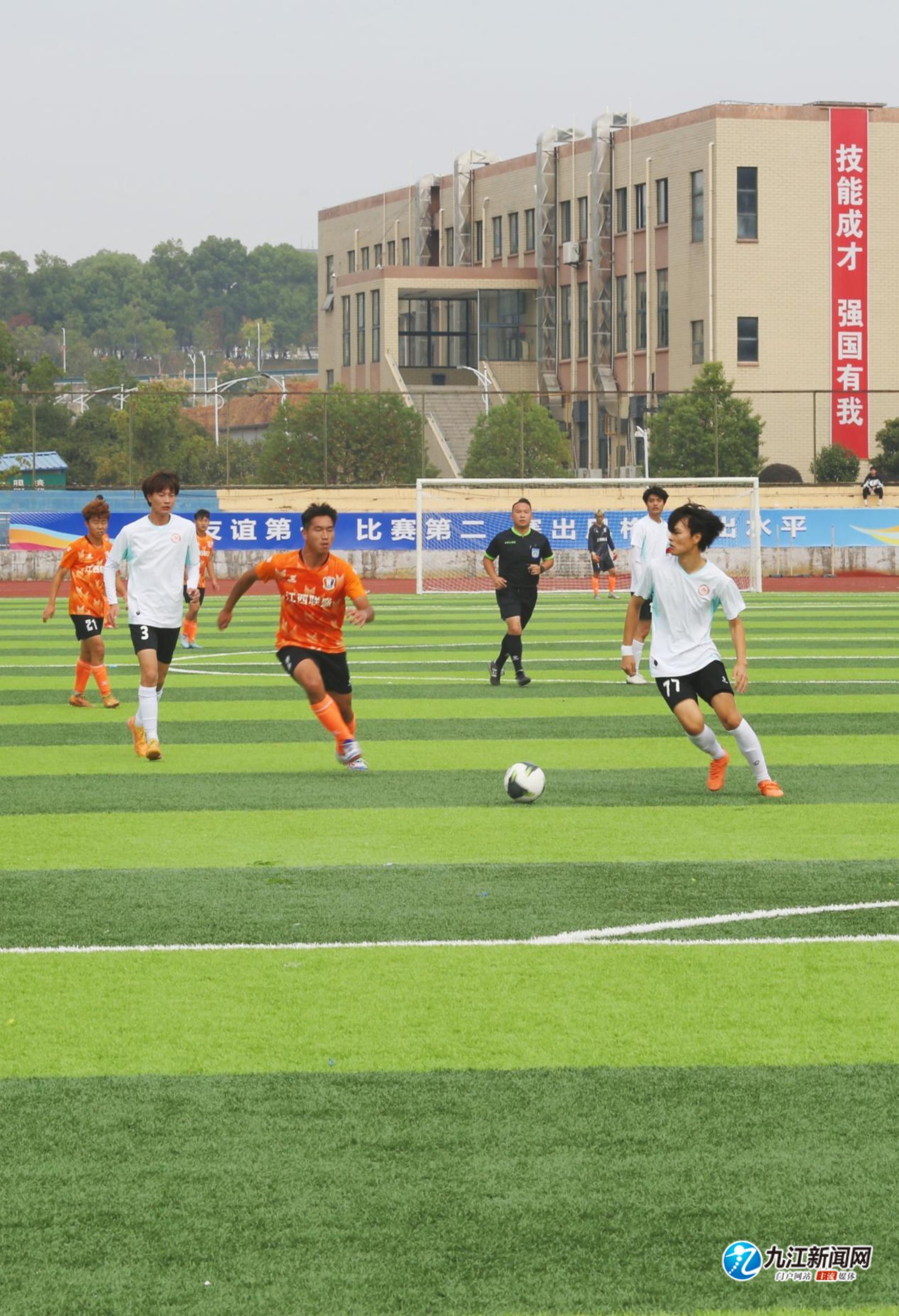 大龙视野钩 大龙视野钩